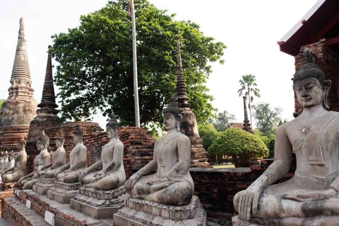 bouddhas-alignés-Wat-Yai-Chai-Mongkhon