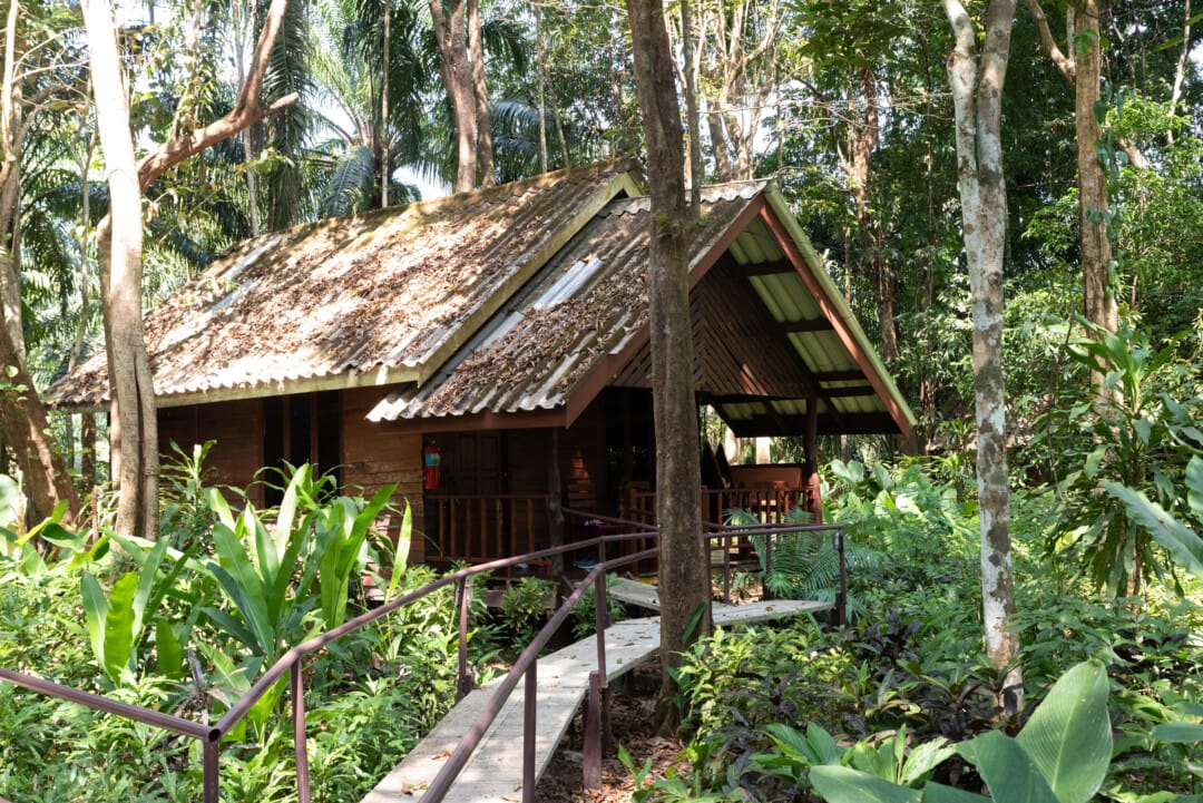 bungalow-khao-sok-riverside-cottages