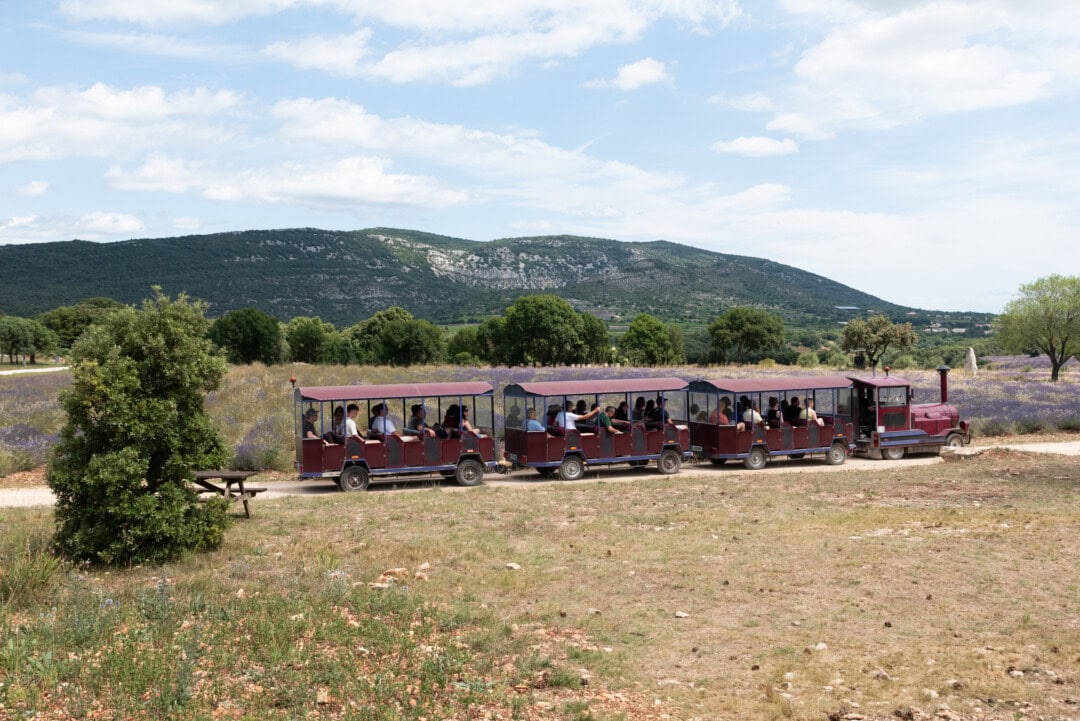 maison-de-la-lavande-petit-train-saint-remeze