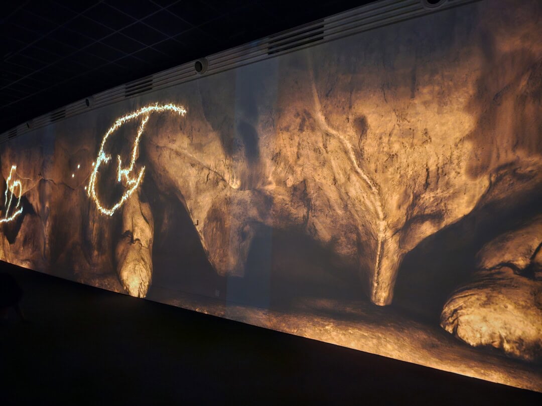 son-et-lumiere-animal-grotte-chauvet2